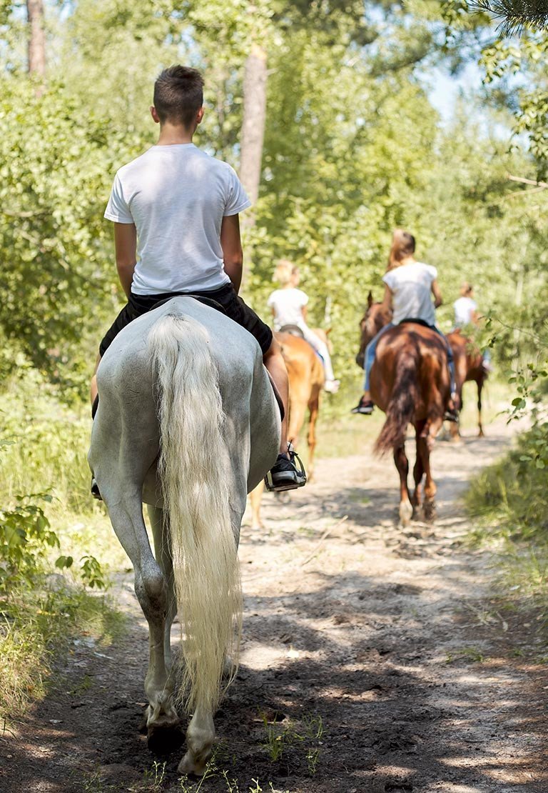 Equitazione